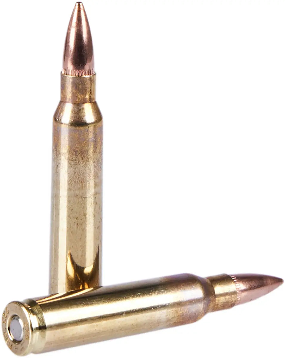 STS — .223 Rem, FMJ-BT 55 gr (3.56 g)