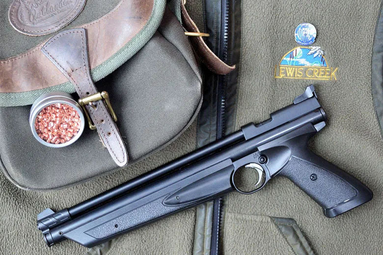 Crosman 1377 Classic