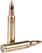 STS — .223 Rem, FMJ-BT 55 gr (3.56 g)